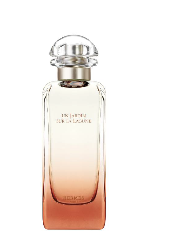 Hermes Un Jardin Sur Le Lagune EdT 100 ml