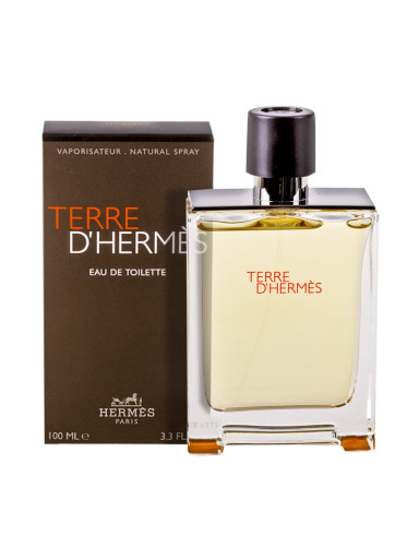 Hermes Terre d'Hermes EdT 100 ml